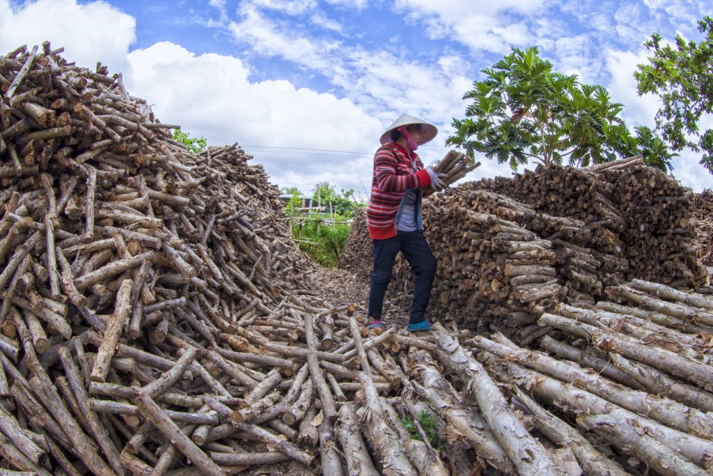 Phế phẩm từ gỗ công nghiệp có thể trở thành nguồn nguyên liệu dồi dào cho phát triển năng lượng sinh khối (Nguồn_GIZ)